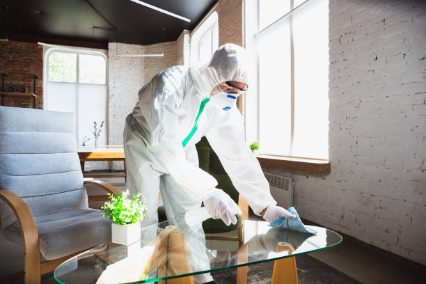 Best Mold Odor Removal Services  in Curtice, OH